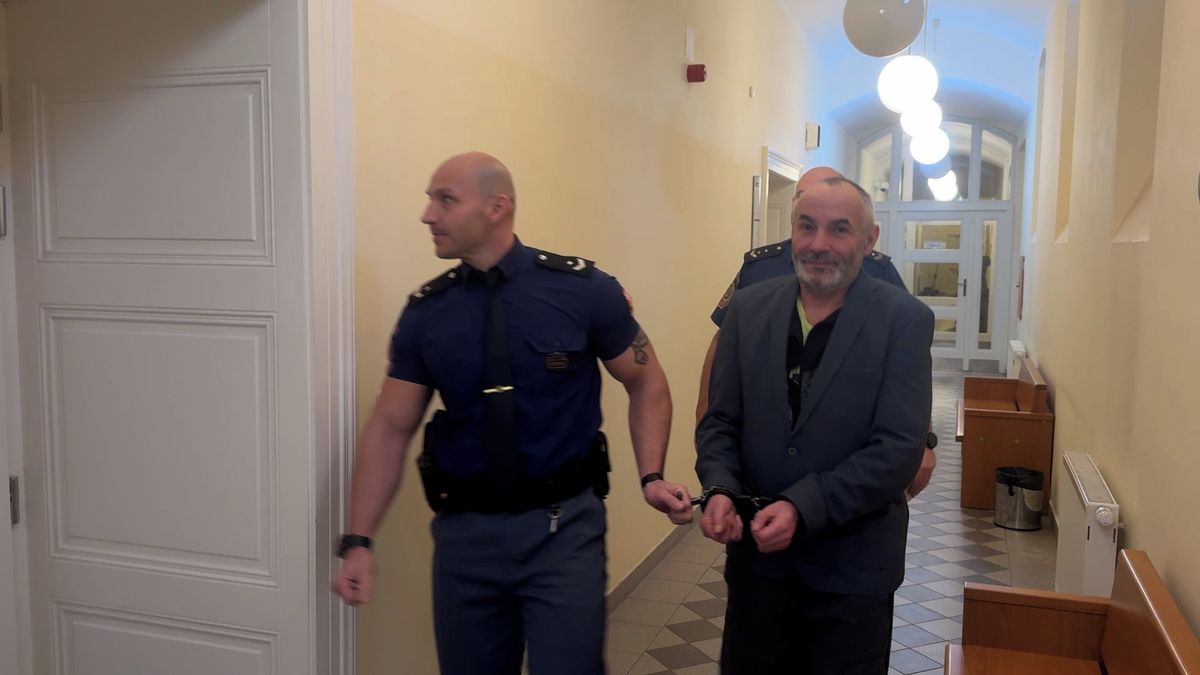 Chovatel hadů léta terorizoval obsluhu benzínky v Plzni. U soudu škemral o propuštění z vazby